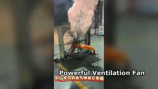 Superior Quality and Easy-use Ceiling Hanging Exhaust Fan Poultry Exhaust Fan Negative Pressure