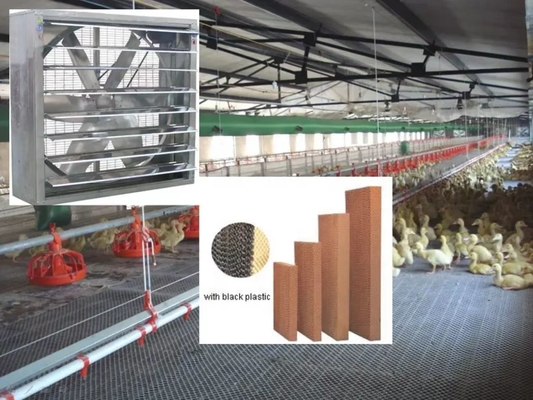 Factory Price Quality Plastic Cooling Pad Wall Water Curtain Cellulose Paper for Chicken House
