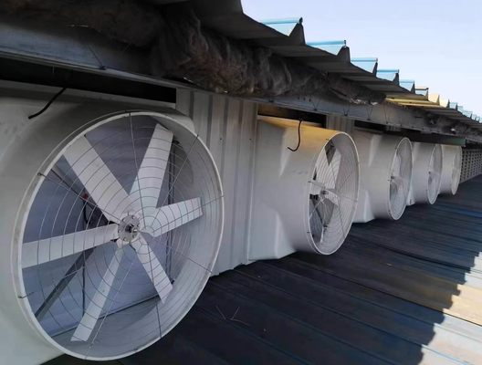 Poultry Hanging Fan Poultry House EquipmentSilent Industrial Type FRP Exhaust Fan