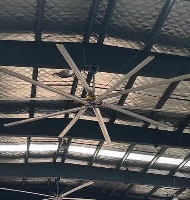 Manufacturer Industrial Fan Ceiling 6 Blades 24ft 12ft 220v 1500w Big Industrial Hvls Ceiling Fan
